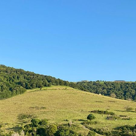 Hills View Bnb Studio Kiama Heights Hotel Buitenkant foto